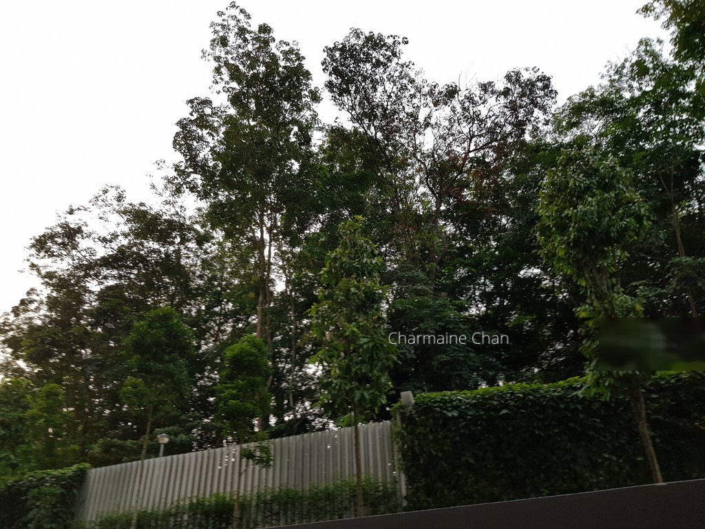 Eco Sanctuary (D23), Condominium #155335202